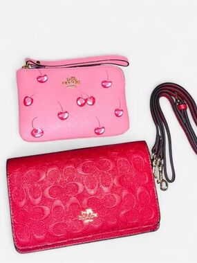 Fake Coach Purse. From what I’m told